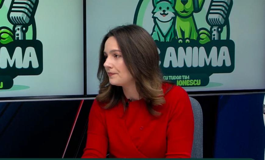 Soluții smart pentru bunăstarea pisicilor și câinilor. Bianca Andreev, la DC Anima