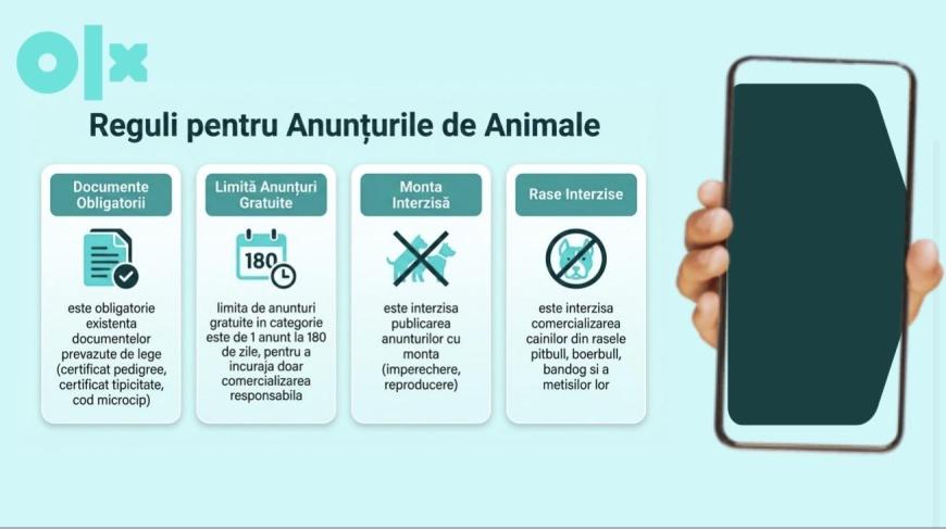 Adopțiile de animale, între responsabilitate și abuz: cum încearcă OLX să curețe piața online