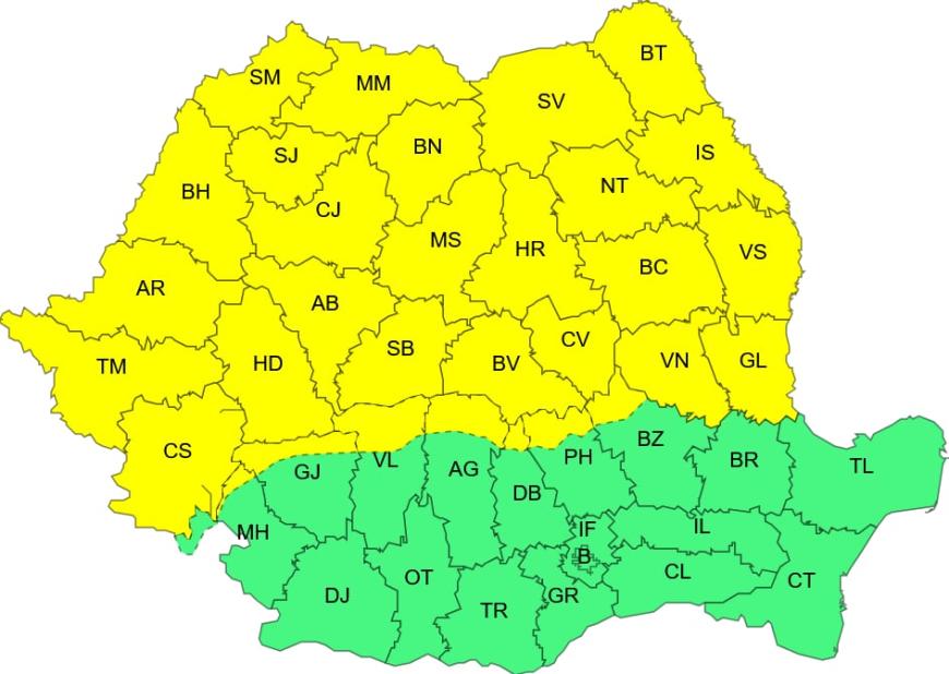 Cod Galben de ger. Sursa foto: ANM