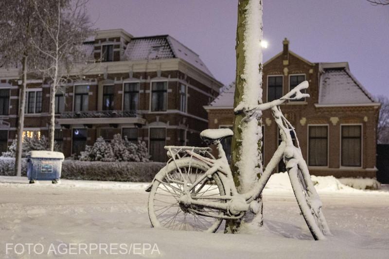 partea de nord a globului viscol partea de sud incendii