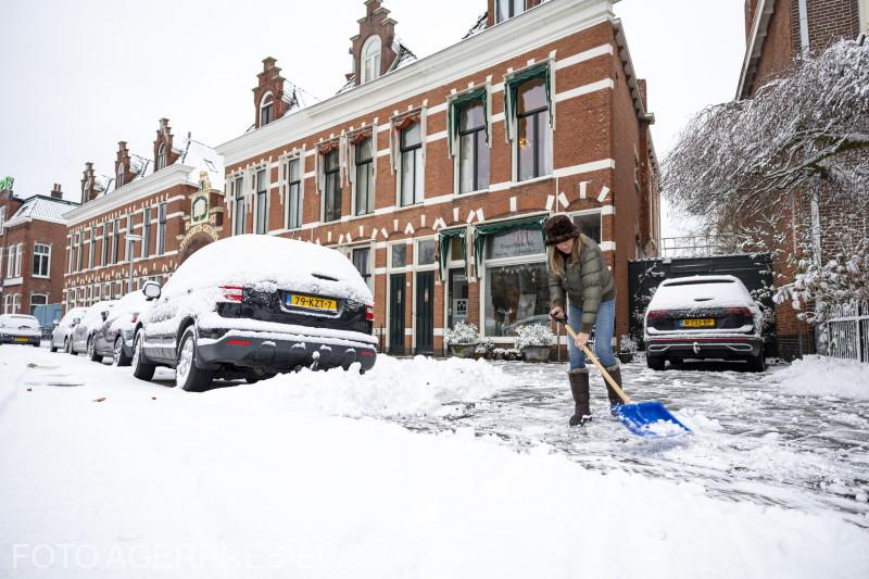 partea de nord a globului viscol partea de sud incendii
