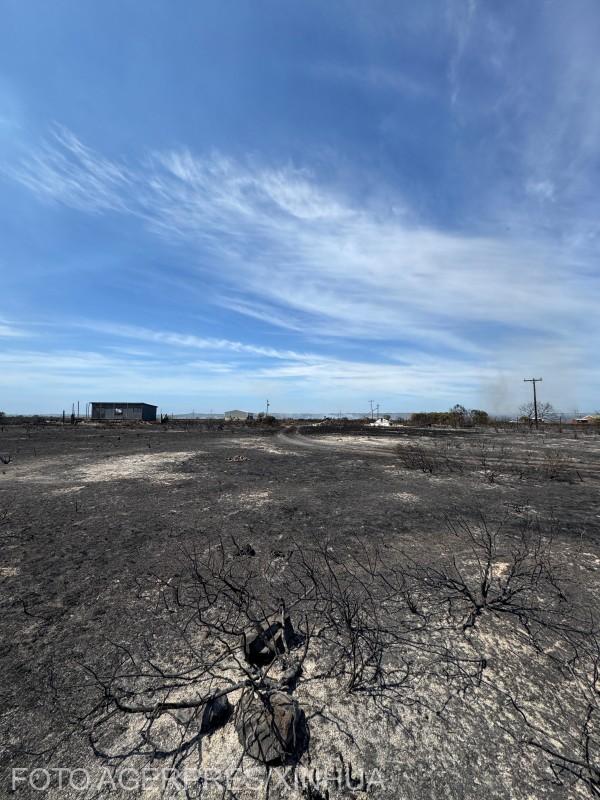 Imagine cu efectele incendiilor de vegetație din Africa de Sud. Sursa foto: Agerpres