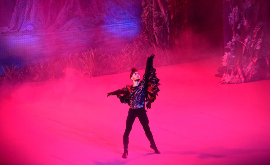 Premieră la Sala Palatului. Ucraineanca Ganna Muromtseva în Lacul Lebedelor (Recenzie)