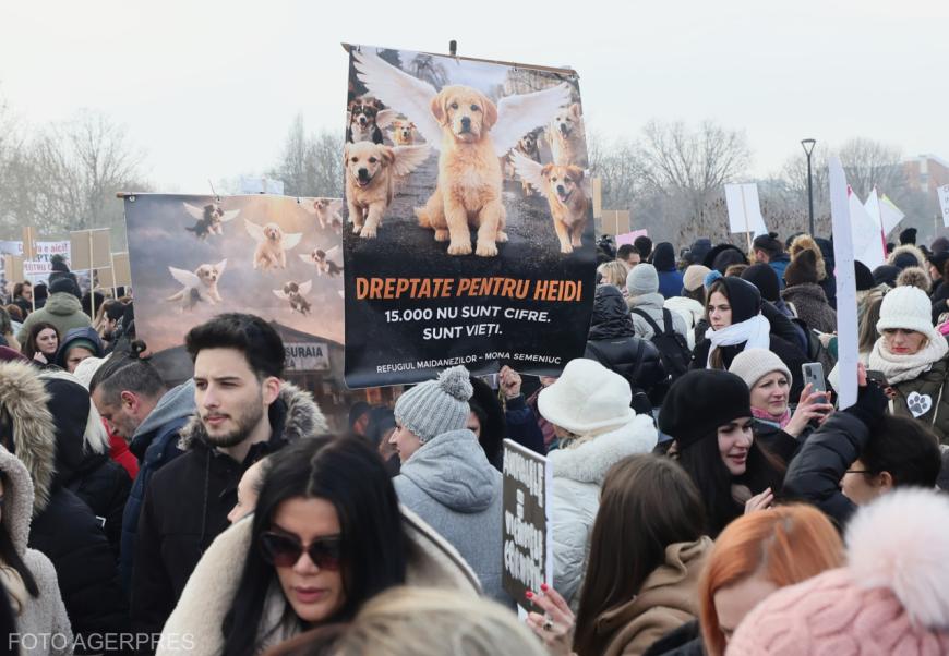 „Dreptate pentru Animale”. Protest în fața Parlamentului împotriva eutanasierii 