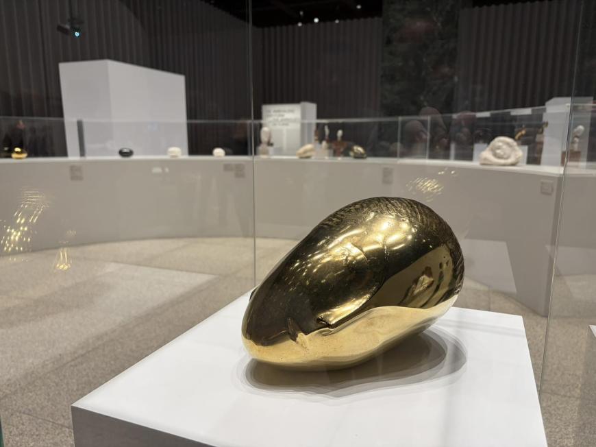 Vernisajul expoziției Constantin Brâncuși
