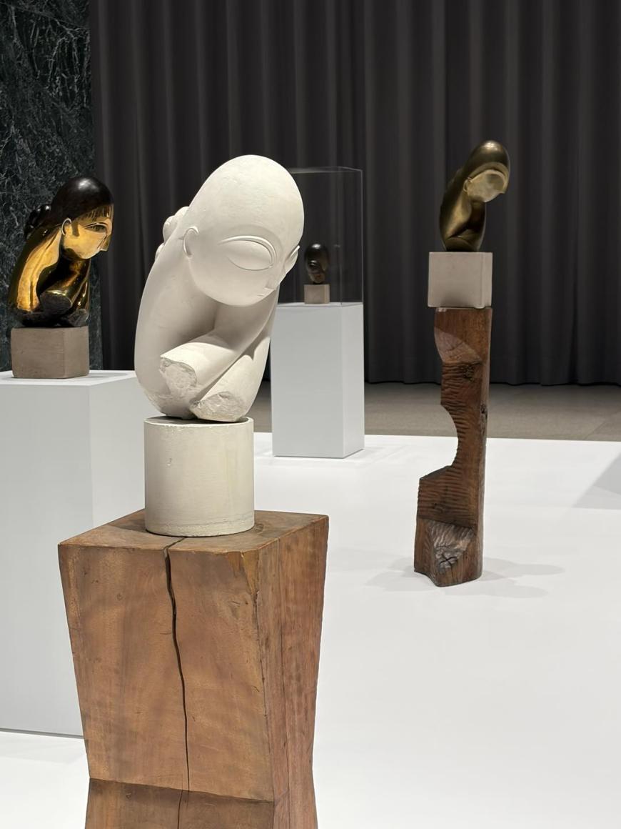 Vernisajul expoziției Constantin Brâncuși