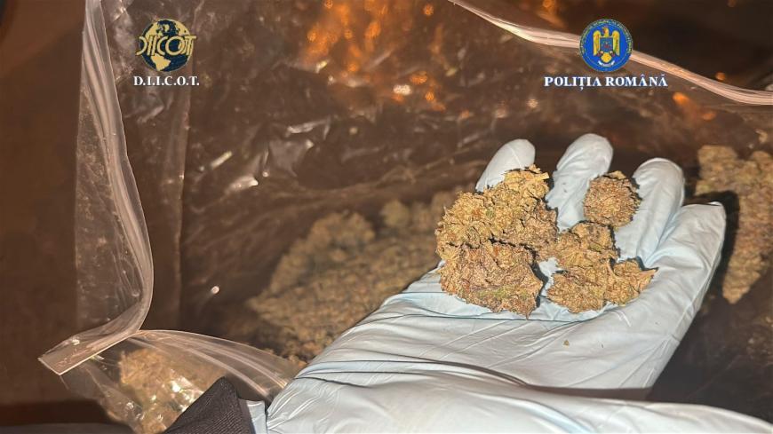 1,8 kg de canabis găsit într-un colet. Sursa foto: IPJ Galați
