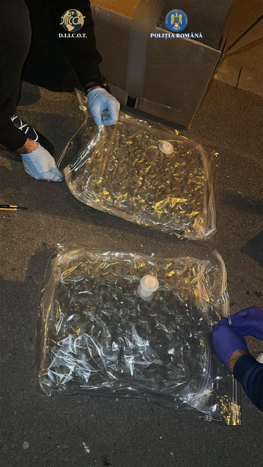 1,8 kg de canabis găsit într-un colet. Sursa foto: IPJ Galați