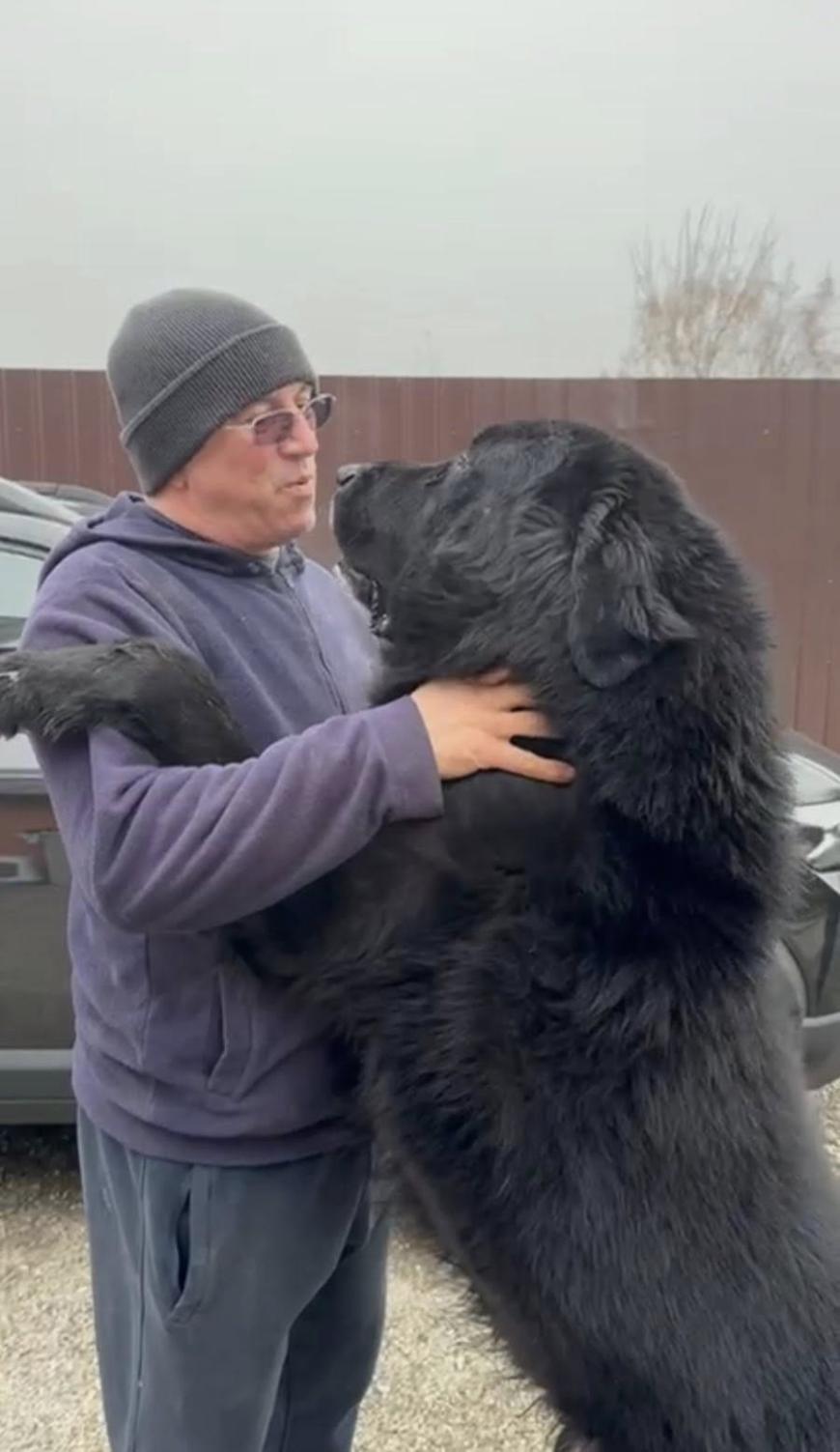 Crescătorul Ciprian Asavei 