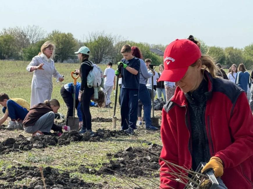 Viitorul prinde rădăcini la Otopeni: Sute de elevi au transformat o zi de voluntariat într-o lecție vie de ecologie plantând copaci FOTO și VIDEO