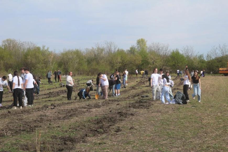 Viitorul prinde rădăcini la Otopeni: Sute de elevi au transformat o zi de voluntariat într-o lecție vie de ecologie plantând copaci
