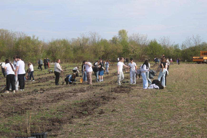 Viitorul prinde rădăcini la Otopeni: Sute de elevi au transformat o zi de voluntariat într-o lecție vie de ecologie plantând copaci
