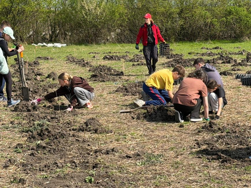 Viitorul prinde rădăcini la Otopeni: Sute de elevi au transformat o zi de voluntariat într-o lecție vie de ecologie plantând copaci
