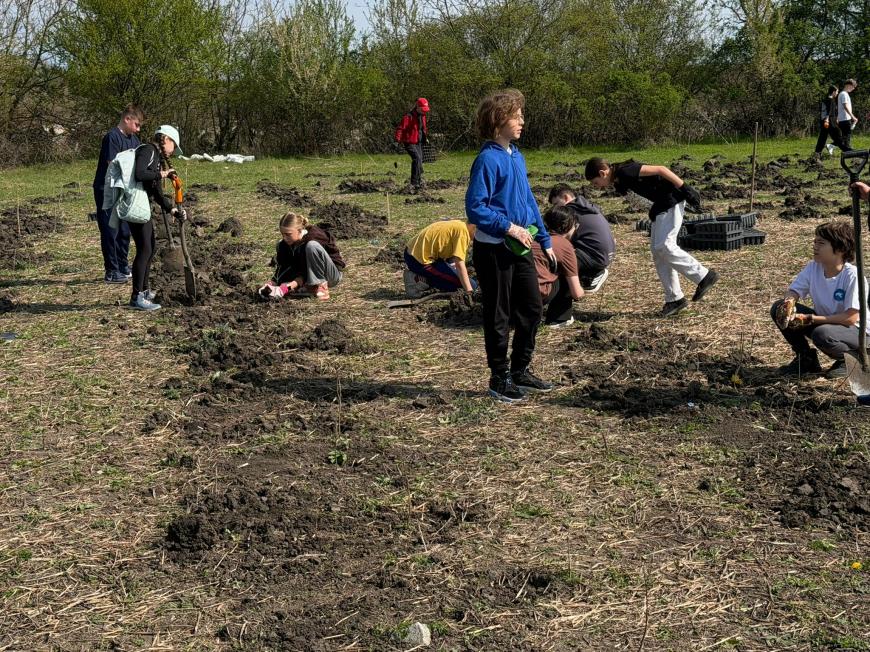 Viitorul prinde rădăcini la Otopeni: Sute de elevi au transformat o zi de voluntariat într-o lecție vie de ecologie plantând copaci
