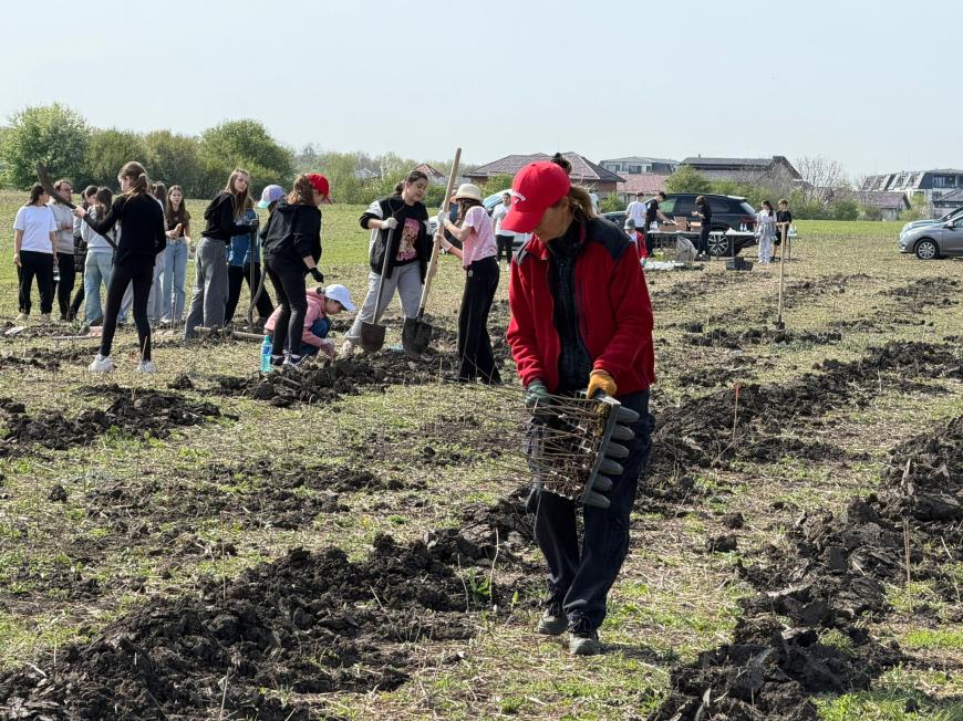 Viitorul prinde rădăcini la Otopeni: Sute de elevi au transformat o zi de voluntariat într-o lecție vie de ecologie plantând copaci
