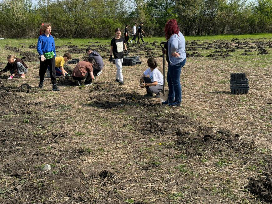 Viitorul prinde rădăcini la Otopeni: Sute de elevi au transformat o zi de voluntariat într-o lecție vie de ecologie plantând copaci

