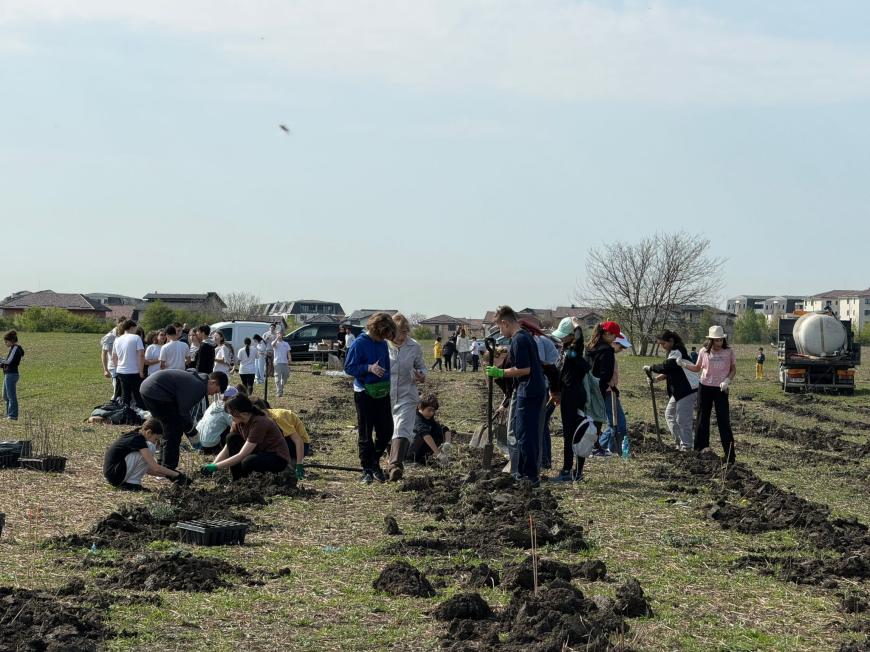 Viitorul prinde rădăcini la Otopeni: Sute de elevi au transformat o zi de voluntariat într-o lecție vie de ecologie plantând copaci
