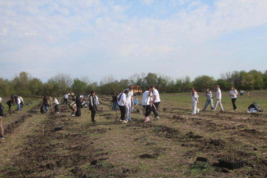 Viitorul prinde rădăcini la Otopeni: Sute de elevi au transformat o zi de voluntariat într-o lecție vie de ecologie plantând copaci
