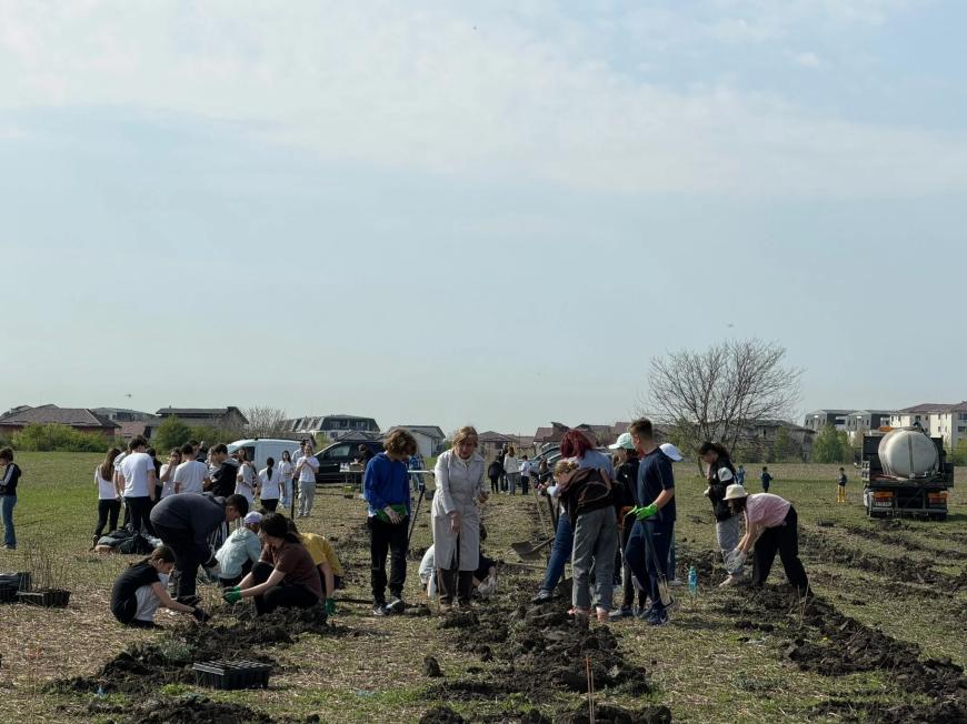 Viitorul prinde rădăcini la Otopeni: Sute de elevi au transformat o zi de voluntariat într-o lecție vie de ecologie plantând copaci
