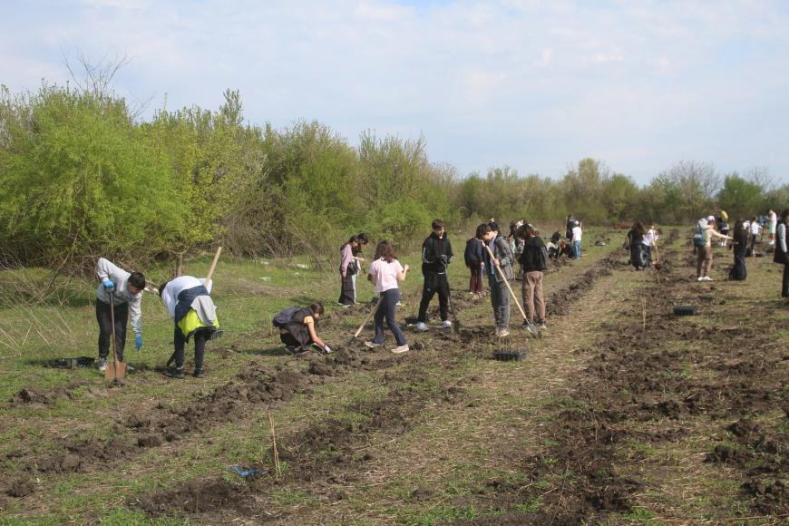 Viitorul prinde rădăcini la Otopeni: Sute de elevi au transformat o zi de voluntariat într-o lecție vie de ecologie plantând copaci
