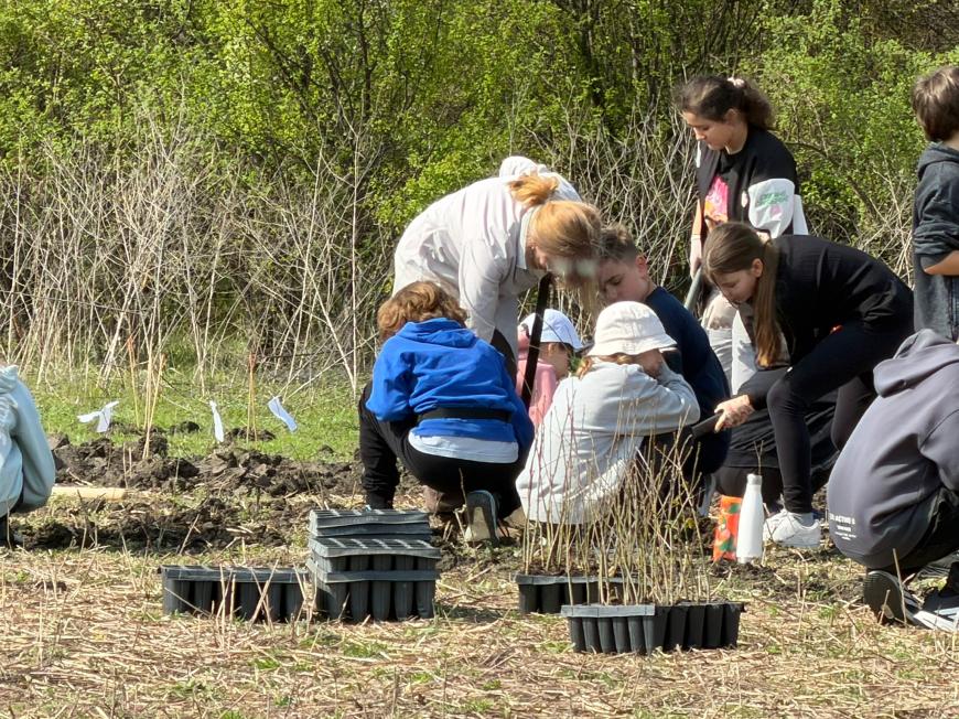 Viitorul prinde rădăcini la Otopeni: Sute de elevi au transformat o zi de voluntariat într-o lecție vie de ecologie plantând copaci

