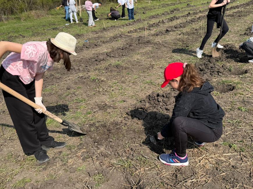 Viitorul prinde rădăcini la Otopeni: Sute de elevi au transformat o zi de voluntariat într-o lecție vie de ecologie plantând copaci
