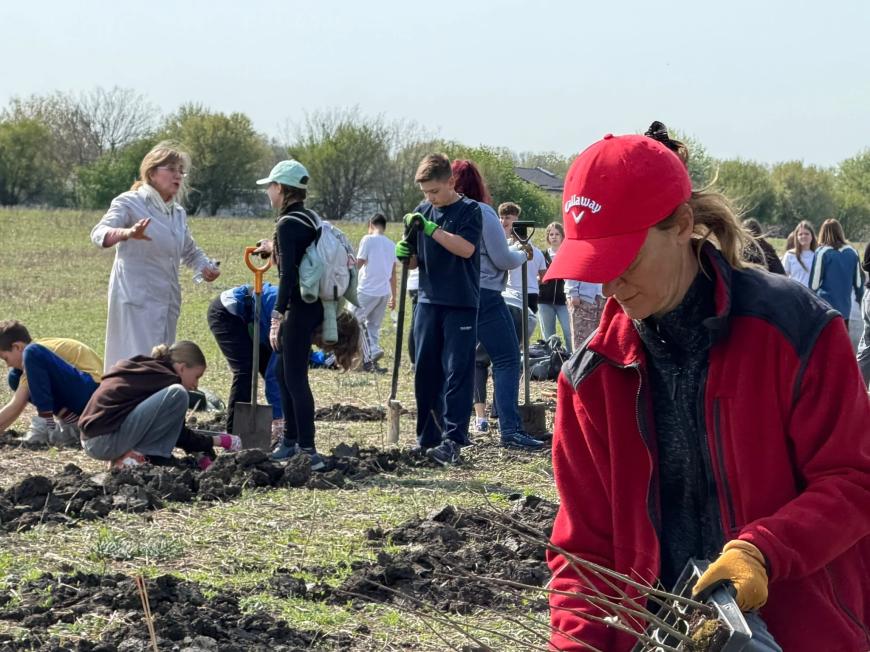 Viitorul prinde rădăcini la Otopeni: Sute de elevi au transformat o zi de voluntariat într-o lecție vie de ecologie plantând copaci
