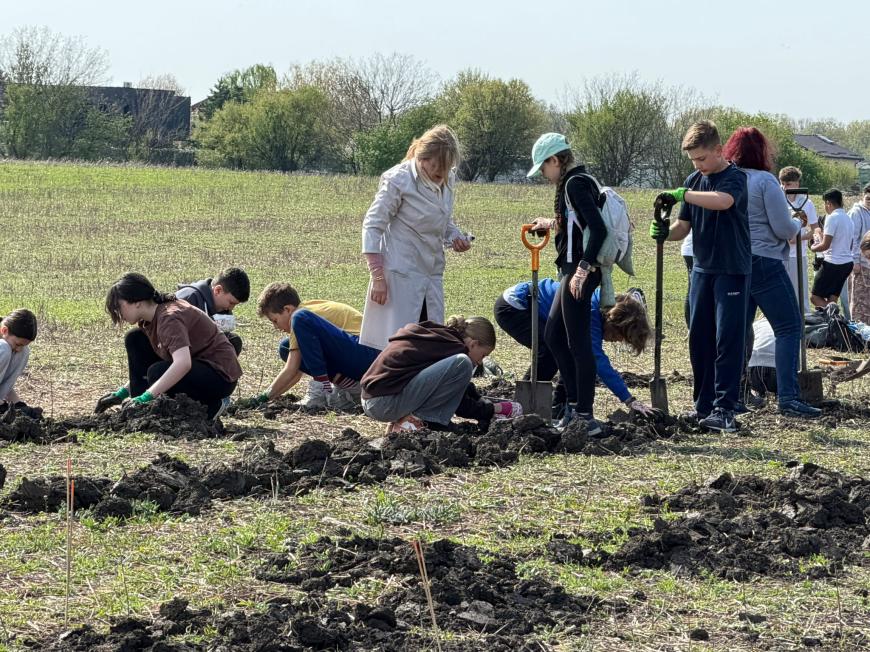 Viitorul prinde rădăcini la Otopeni: Sute de elevi au transformat o zi de voluntariat într-o lecție vie de ecologie plantând copaci
