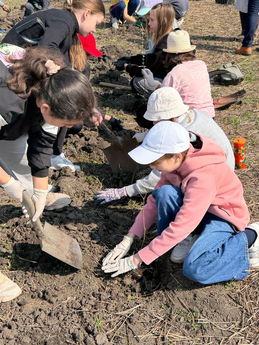 Viitorul prinde rădăcini la Otopeni: Sute de elevi au transformat o zi de voluntariat într-o lecție vie de ecologie plantând copaci FOTO și VIDEO
