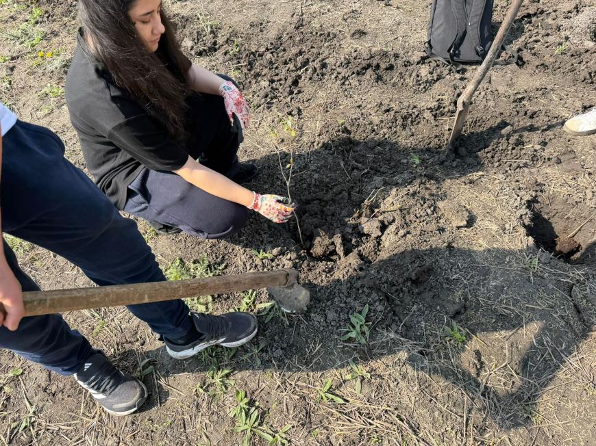 Viitorul prinde rădăcini la Otopeni: Sute de elevi au transformat o zi de voluntariat într-o lecție vie de ecologie plantând copaci FOTO și VIDEO
