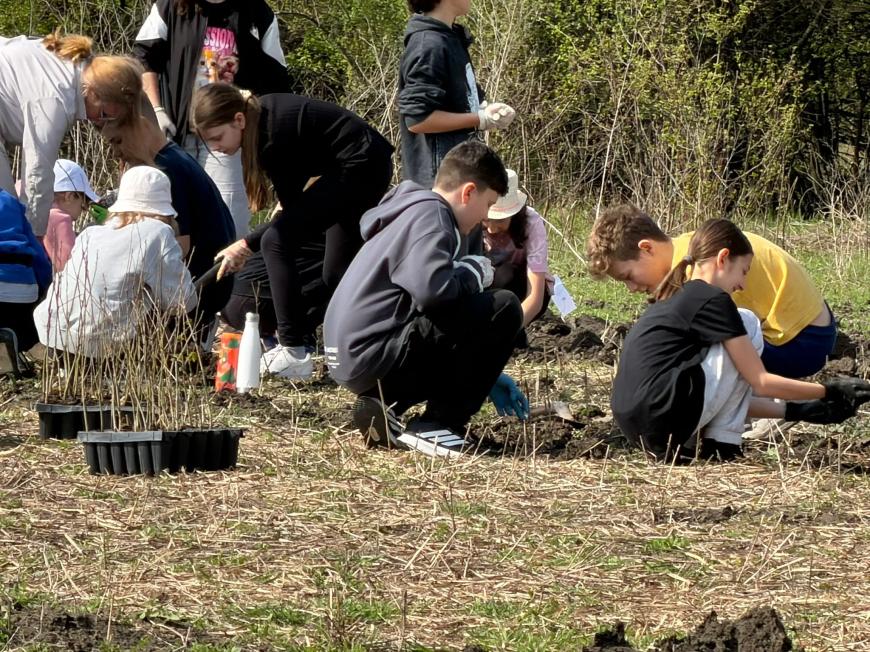 Viitorul prinde rădăcini la Otopeni: Sute de elevi au transformat o zi de voluntariat într-o lecție vie de ecologie plantând copaci FOTO și VIDEO