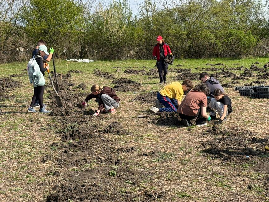 Viitorul prinde rădăcini la Otopeni: Sute de elevi au transformat o zi de voluntariat într-o lecție vie de ecologie plantând copaci FOTO și VIDEO