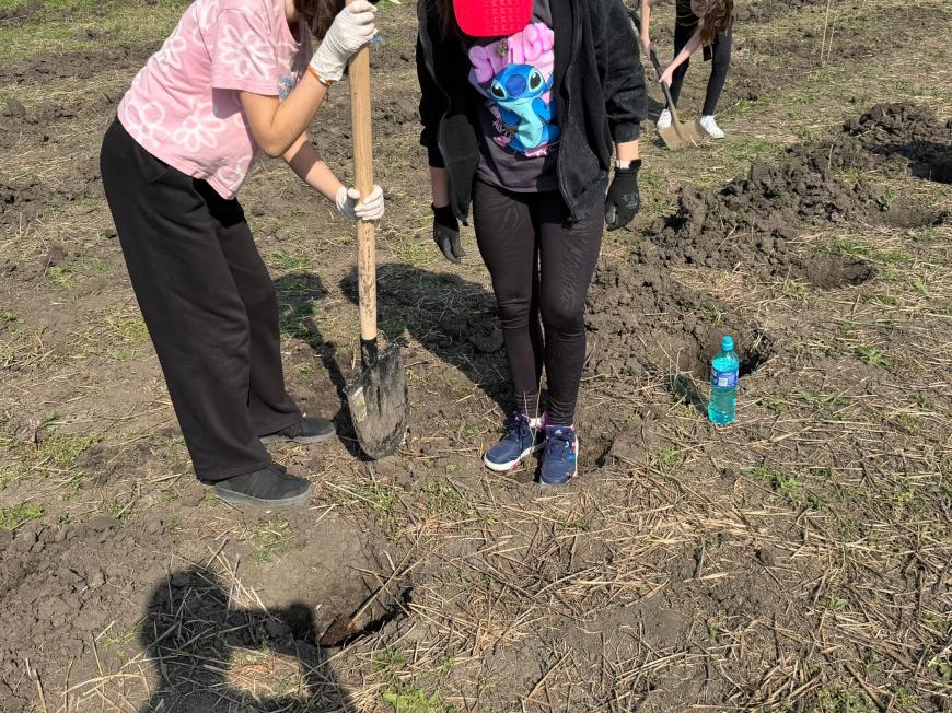Viitorul prinde rădăcini la Otopeni: Sute de elevi au transformat o zi de voluntariat într-o lecție vie de ecologie plantând copaci FOTO și VIDEO