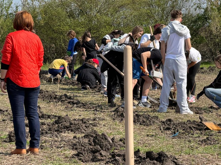 Viitorul prinde rădăcini la Otopeni: Sute de elevi au transformat o zi de voluntariat într-o lecție vie de ecologie plantând copaci FOTO și VIDEO