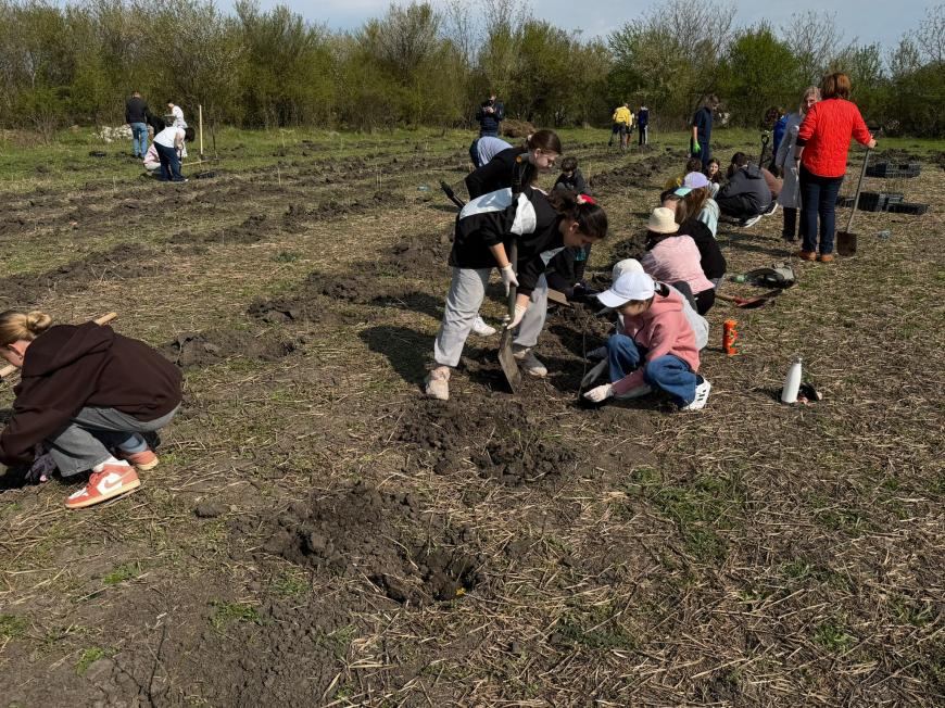 Viitorul prinde rădăcini la Otopeni: Sute de elevi au transformat o zi de voluntariat într-o lecție vie de ecologie plantând copaci FOTO și VIDEO