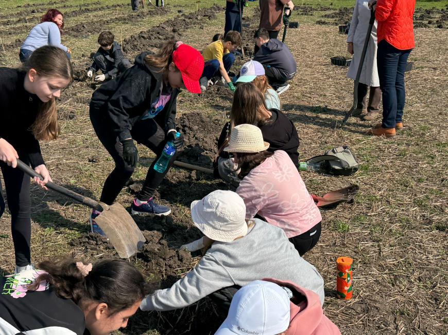 Viitorul prinde rădăcini la Otopeni: Sute de elevi au transformat o zi de voluntariat într-o lecție vie de ecologie plantând copaci FOTO și VIDEO