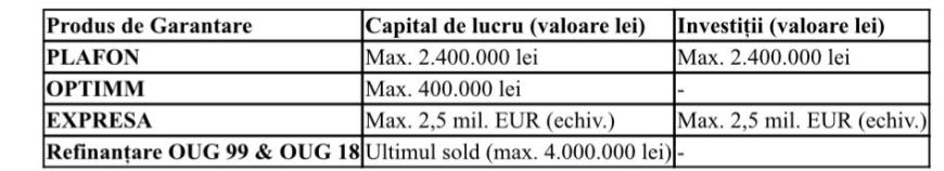 Premieră națională: FNGCIMM a semnat primele 16 protocoale de colaborare cu brokeri de credite în doar 3 săptămâni