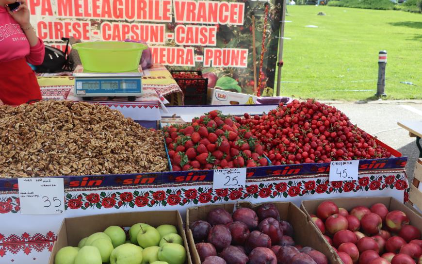 Zilele Horticulturii Bucureștene, în campusul Universității de Științe Agronomice și Medicină Veterinară