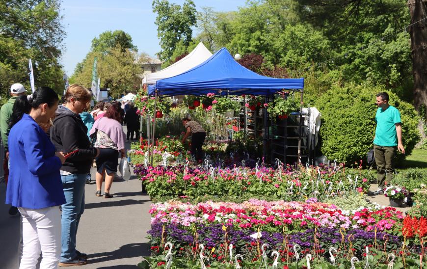 Zilele Horticulturii Bucureștene, în campusul Universității de Științe Agronomice și Medicină Veterinară