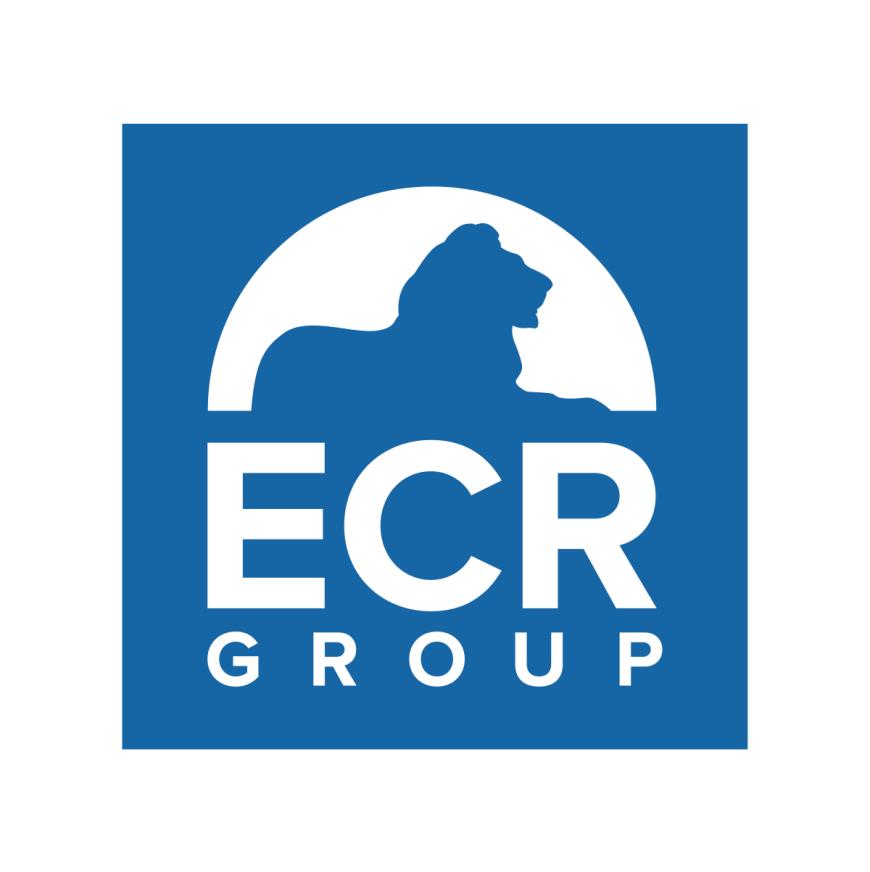 Georgiana Teodorescu, europarlamentar ECR, la Interviurile DCNews