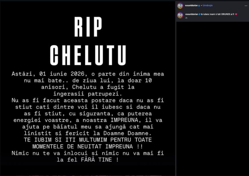 A murit Cheluţu, câinele celebru al lui Dorian Popa 