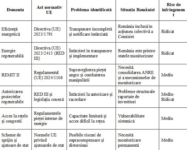 Proceduri aflate în zona de risc (fără infringement individual confirmat). Sursa foto: președintele AEI, Dumitru Chisăliță