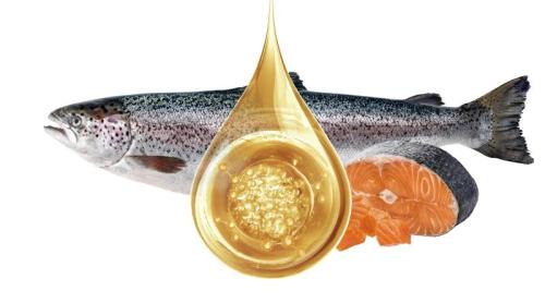 Ce nu ai știut despre uleiul de pește. Adevărul despre Omega 3. Citește asta înainte să mai iei suplimente