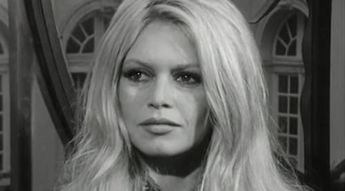 Cine este Nicolas, singurul fiu al actriței Brigitte Bardot. Actrița a spus una dintre cele mai violente afirmații rostite vreodată de o mamă despre copilul ei