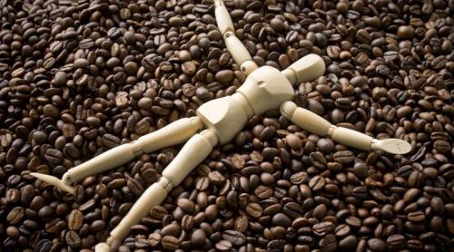 Efectul cafelei pentru rinichi: este bună sau rea? Cum să o bei corect