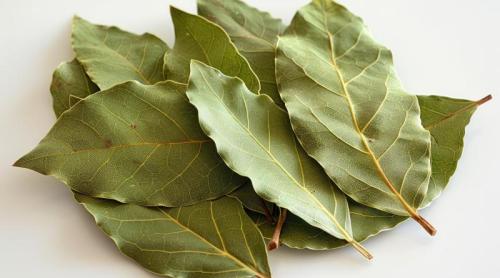 Pune câteva frunze de dafin în dulap. Te vei îndrăgosti de acest truc