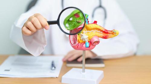 Semne că ai o criză de fiere sau probleme cu fierea