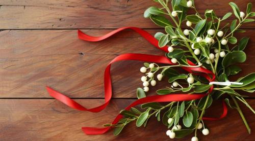 Vâscul: plantă toxică sau remediu miraculos