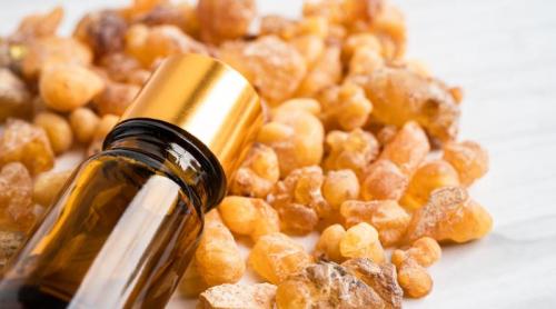 5 motive să folosești ulei de tămâie: remediu pentru intestin, durere, chiar și cancer