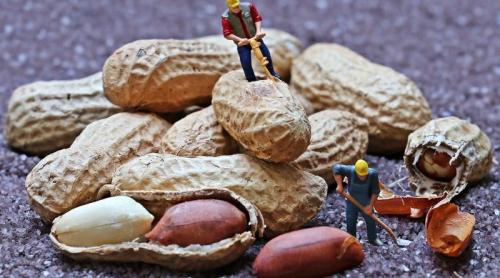 Arahide pentru diabetici: câte ar trebui să consume, în siguranță